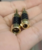 Jack 3.5mm Stereo hàn dây | Vỏ Carbon Fiber mạ vàng