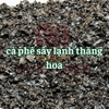ca-phe-say-lanh-thang-hoa-arabica