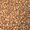 ca-phe-dac-san-robusta-fine-robusta-anaerobic