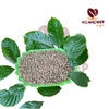 ca-phe-nhan-robusta-honey