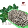 ca-phe-nhan-robusta