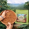 ca-phe-dac-san-arabica-specialty