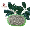 ca-phe-nhan-arabica-cau-dat-green-beans-moka