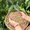 ca-phe-nhan-robusta-natural