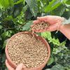 ca-phe-nhan-robusta-natural