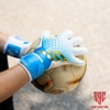 gang-tay-thu-mon-adidas-predator-competition-pro-xanh-duong