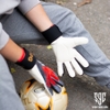 gang-tay-thu-mon-adidas-predator-competition-phien-ban-ki-niem-degea