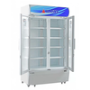 TỦ MÁT ALASKA  2 CÁNH LC-600C DUNG TÍCH 600L CÔNG SUẤT 349W