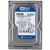 o-cung-western-digital-caviar-blue-250gb-sata-16mb-cache