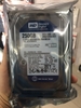 o-cung-western-250gb-sata-blue