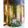 Hướng Dẫn Chọn Cây Giả Decor Phù Hợp Cho Từng Không Gian