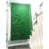 Tường cỏ shop thời trang - TC065