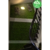 Tường cỏ trên cầu thang - TC052
