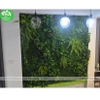 Tường cây nhựa - TC057