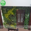 Tường cây nhựa - TC055