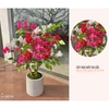 CHẬU CÂY HOA GIẤY TRANG TRÍ BỀN ĐẸP (90CM)- CC772