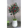 Chậu cây trà đỏ trang trí nhà đẹp (170cm)- CC960