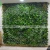 TƯỜNG CÂY ĐẸP CHO VĂN PHÒNG - TC090