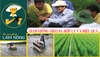 GIẢM GIỐNG GIEO SẠ HỢP LÝ VÀ HIỆU QUẢ