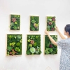 Decor tối giản nhưng vẫn có cảm xúc – Bí quyết nằm ở top mẫu sen đá độc đáo của LanDecor