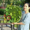 Tạo Góc Xanh 