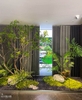 Sự thật về việc cây thật không bao giờ “luôn đẹp” như trong concept thiết kế
