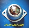 bi-cau-con-lan-inox