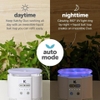 Đèn bắt muỗi trong nhà của KATCHY DUO 2 in 1