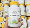 Collagen Plus Warnke