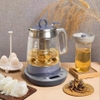 Máy pha trà - chưng yến Tefal