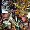xe đạp nữ Via Veneto