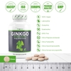 Viên bổ não Ginkgo Biloba VIT4EVER