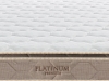 nem-platinum-premium