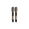 Loa Acnos CS550SR