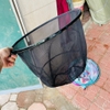 Vành Liền Khối 40cm Nhiều Màu