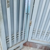 Phao điện rô Lam Bích đổi màu và không đổi màu