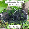 Mặt Vợt Săn Hàng Hắc Minh Giang Vành Tròn Hợp Kim Titan (Liền Khối)