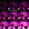 den-led-nong-nghiep-100w