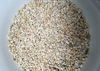 yellow-glory-pebble