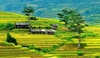Chương trình du lịch MÙ CANG CHẢI MÙA LÚA CHÍN 3 ngày 2 đêm