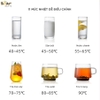 Bình thủy điện Bear 3L