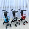 Xe đẩy Playkid VoVo (có mái che)