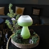 ct0019-mushroom-cocktail-glass