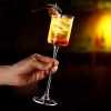 hjy3023-fantasy-champagne-glass