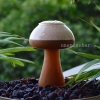 ct0019-mushroom-cocktail-glass