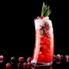 2212-highball-bravura-glass