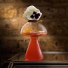 ct0019-mushroom-cocktail-glass