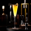 ct0055-champagne-trumpet-glass