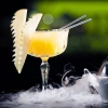 258490-opera-coupette-crystal-champagne-glass