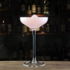 ct0025-schott-special-champagne-saucer-glass